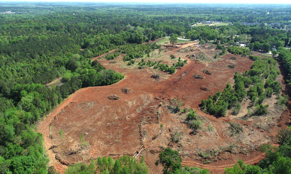 canopy crest drone shot